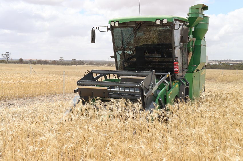 A small header in a crop at Merredin as part of the trial