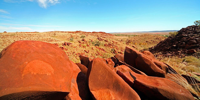 echidna rock art