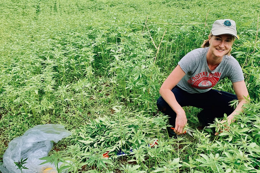 DPIRD research scientist Bronwyn Blake in a crop of hemp.