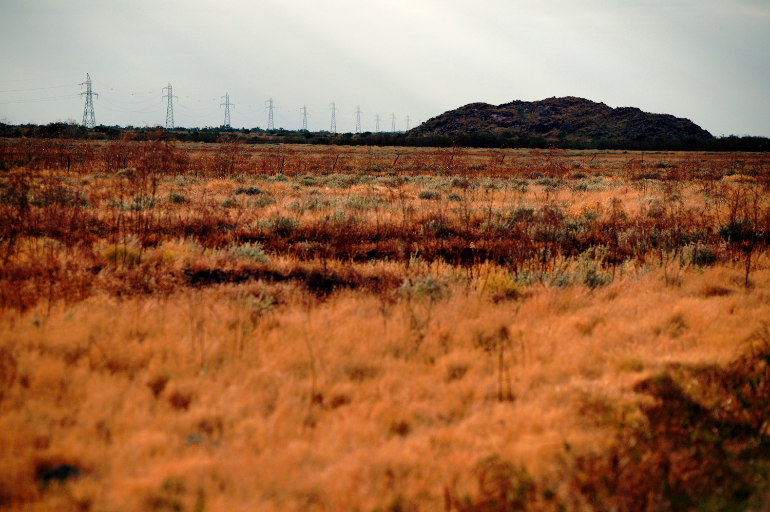 Pilbara