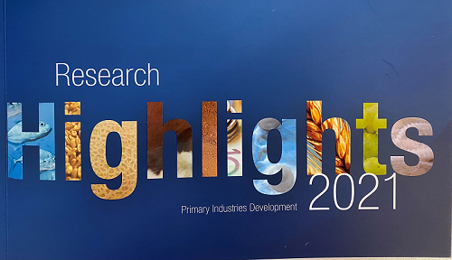 Image of front cover of Research Highlights 2021