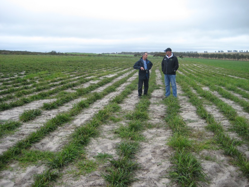 DPIRD research scientist Geoff Moore talking to agronomist Owen Mann