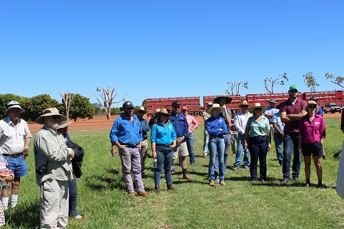 Image of Skuthorpe industry field walk in Broome