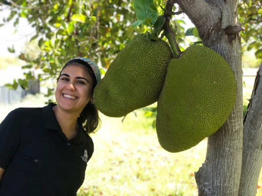 Valeria Almeida Lima standing next to jackfruit hanging from the tree