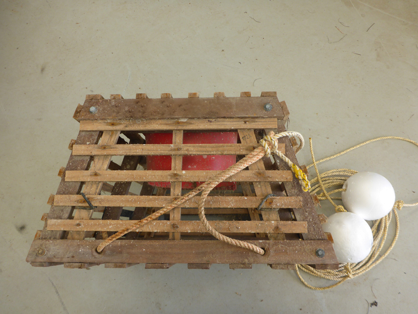 Image of lobster pot