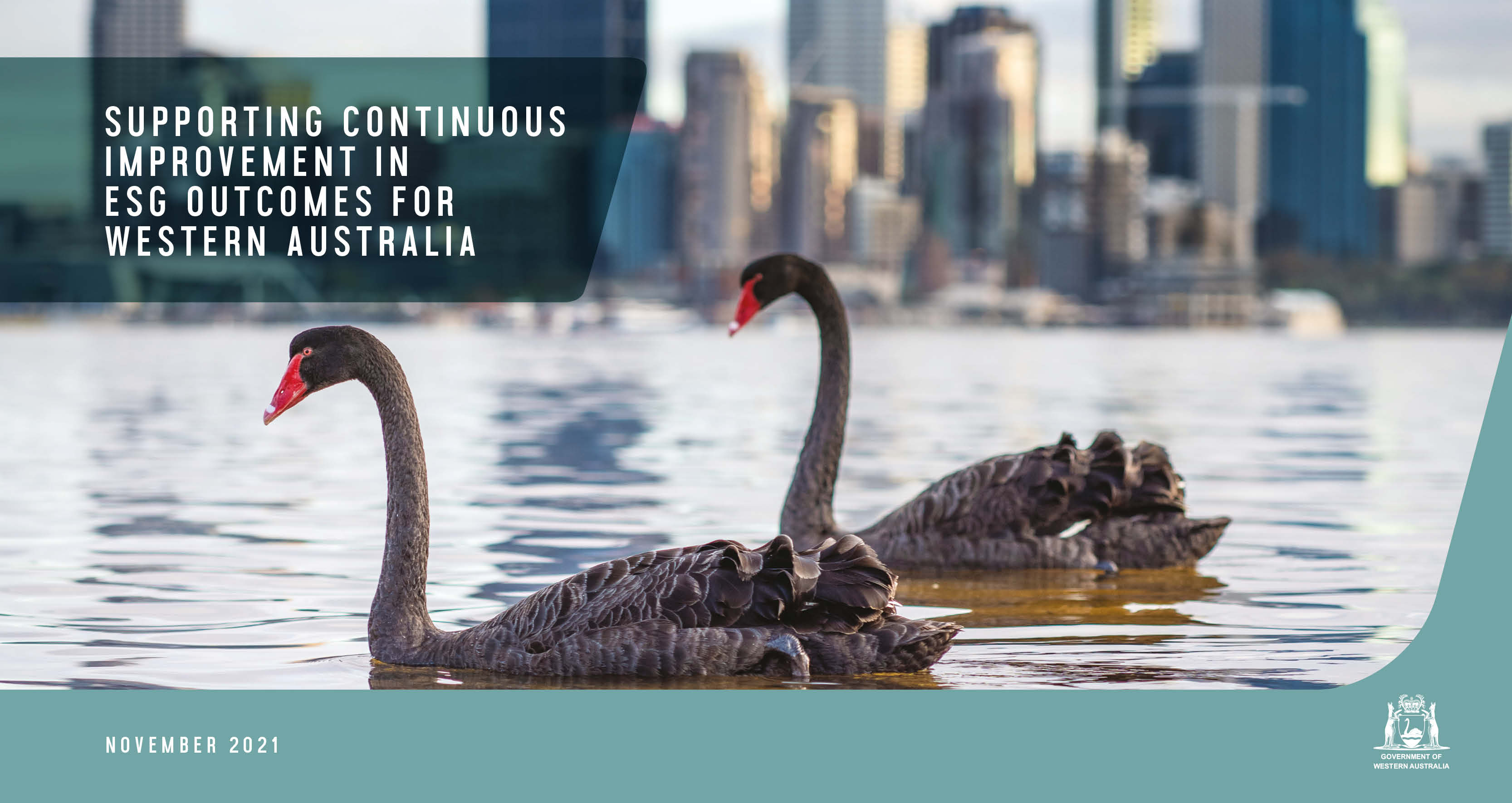 Two black swans with the Perth skyline in the background.