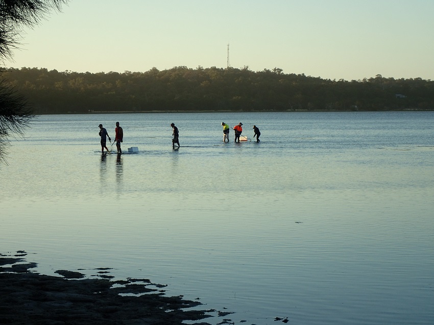 People standing knee deep in water fishing for crabs