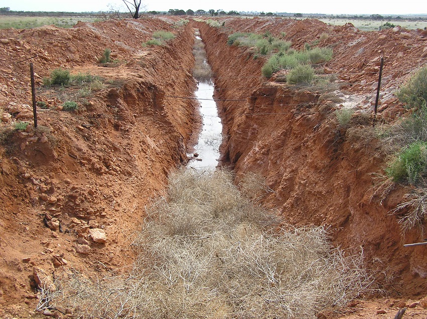 Property drain with water