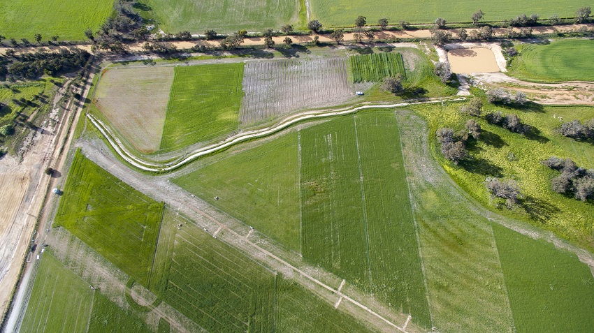 Aerial view of crops