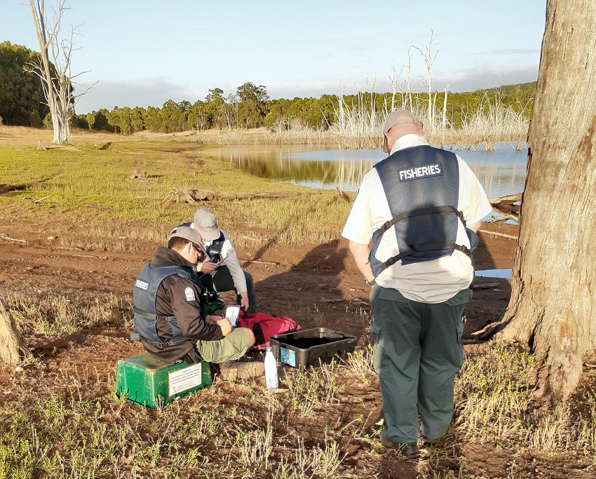 Fisheries officers measuring marron