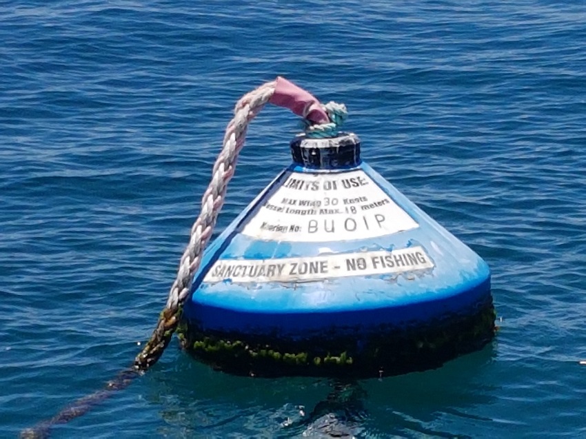 Buoy in water