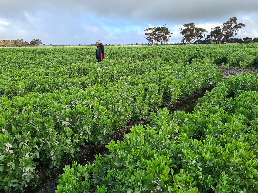 Person standing in field