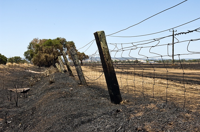 Burnt fence