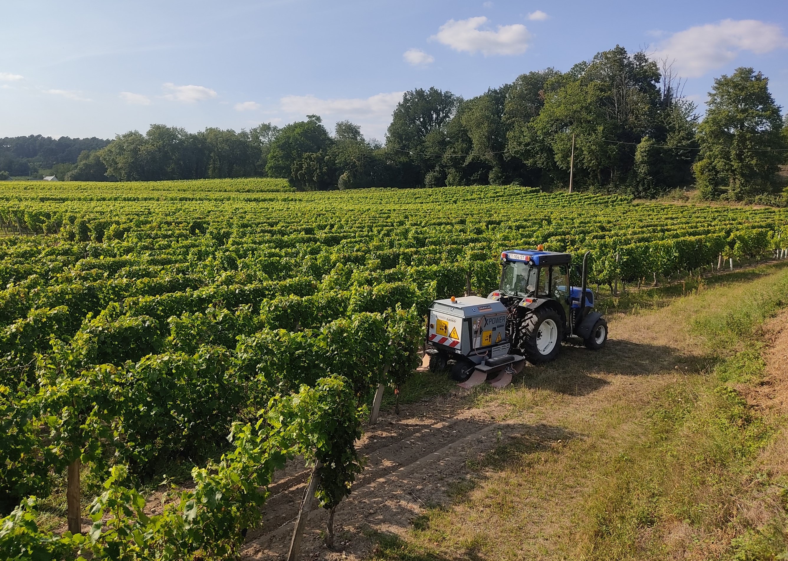 Electric weeding machine being used on vinyard