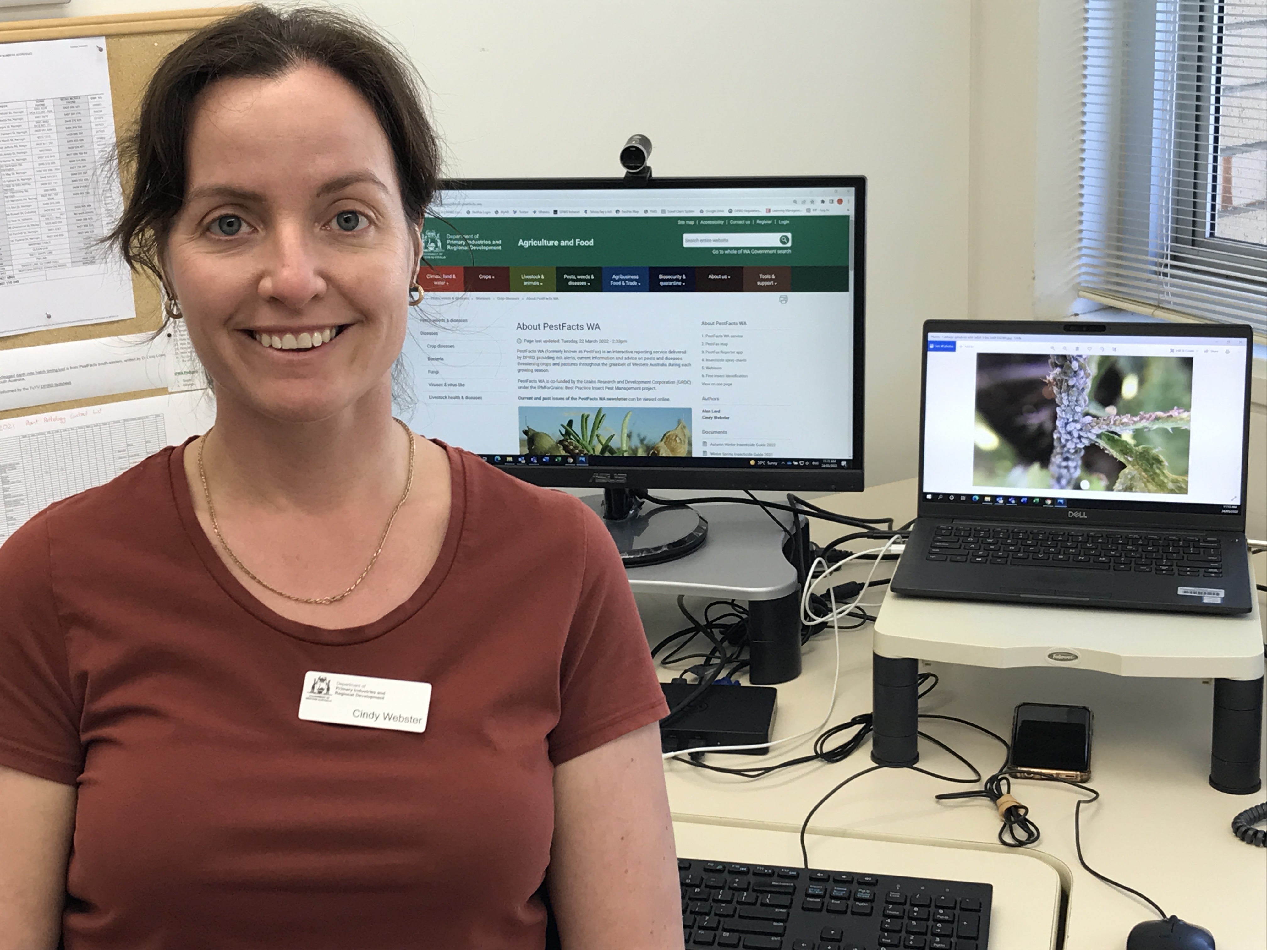 DPIRD staff member sitting in front of computer displaying PestFax