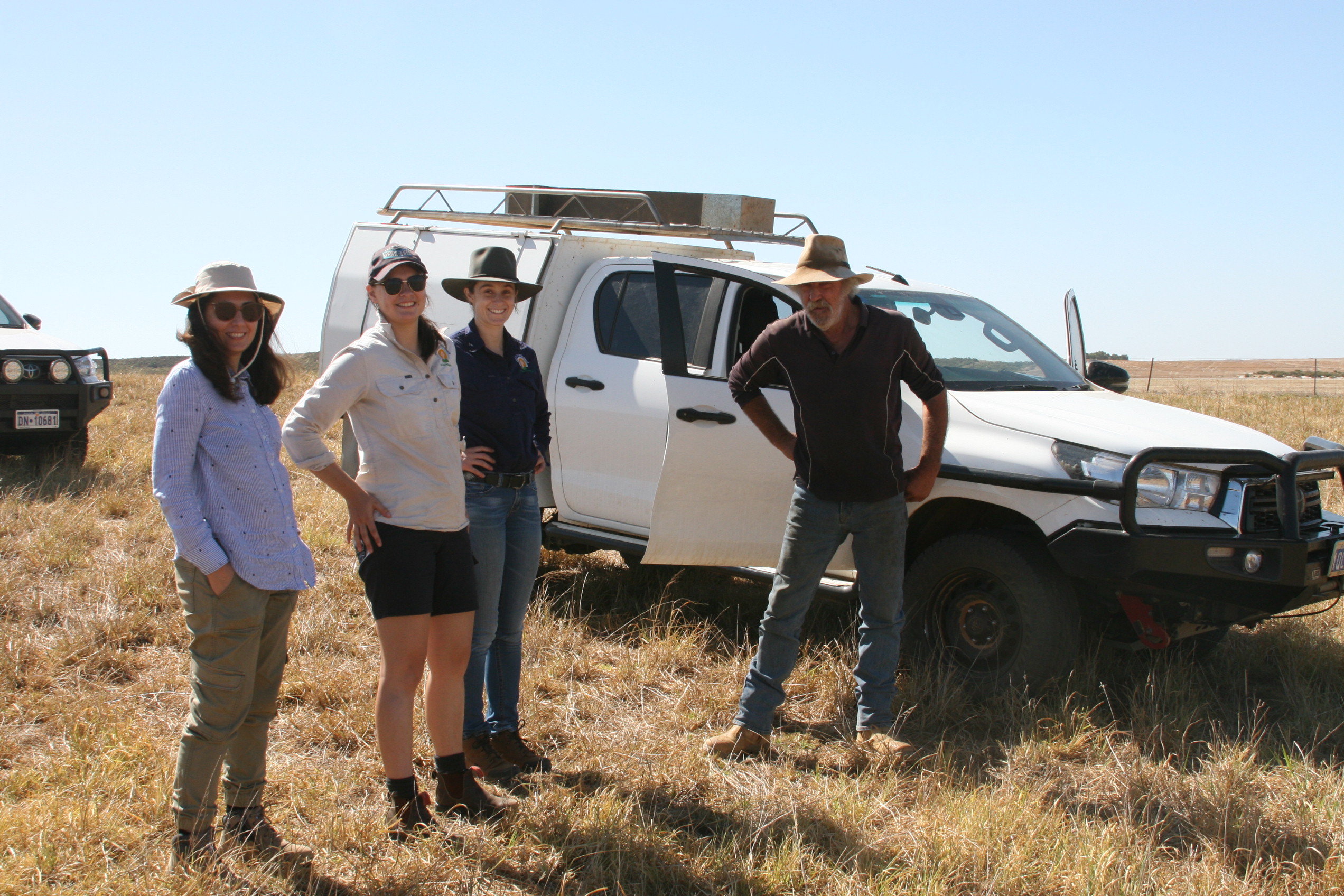 DPIRD staff in in a perennial grass paddock 