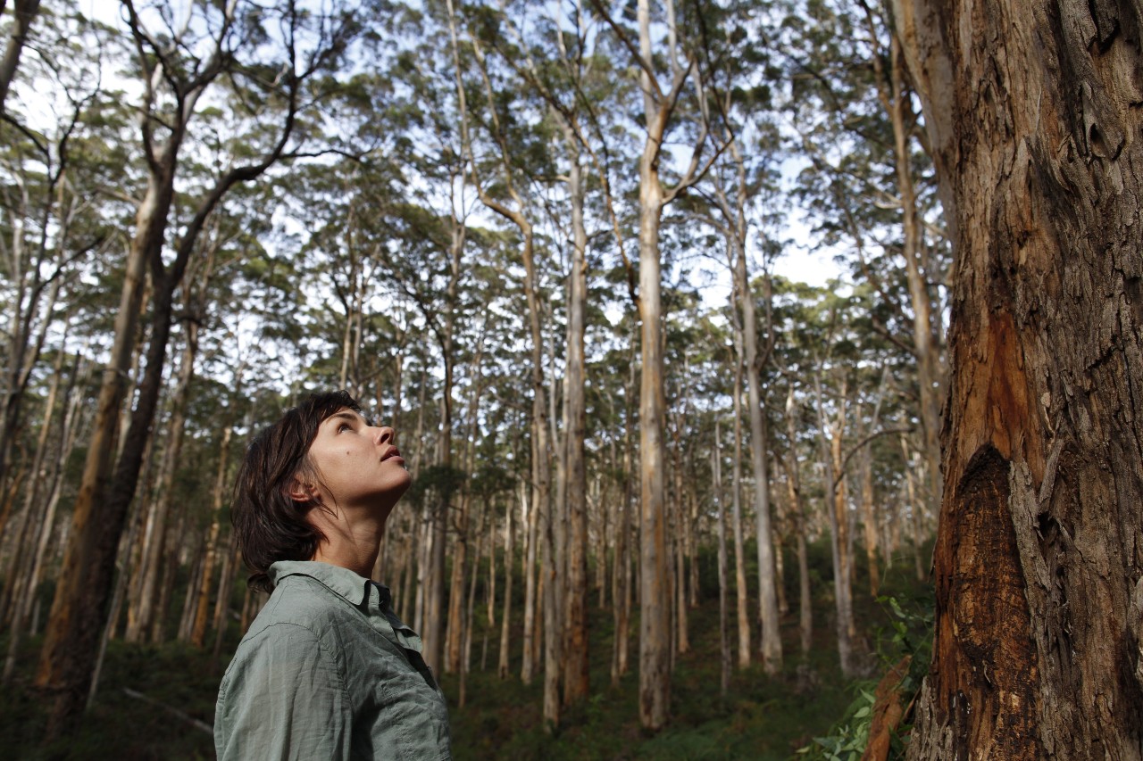 Woman looking at trees