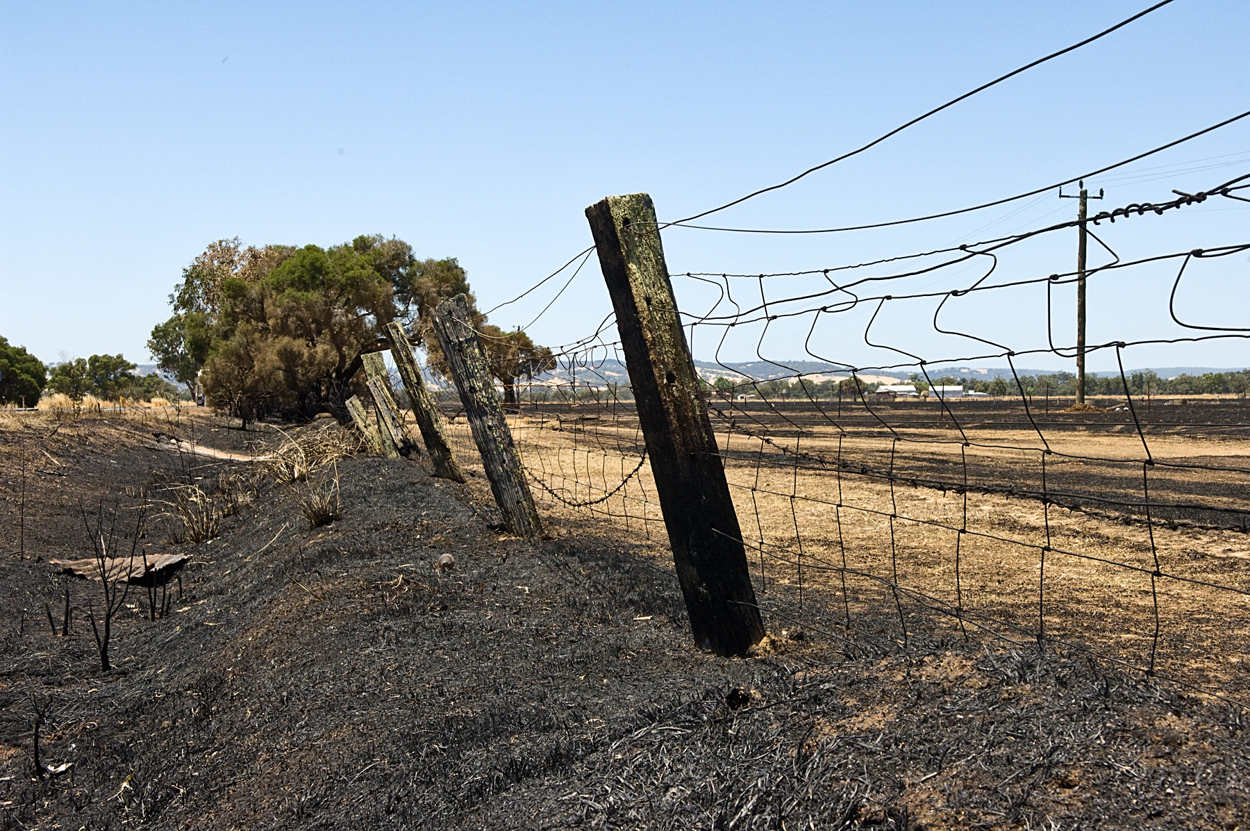 Barrier fence bordering extremely dry paddock