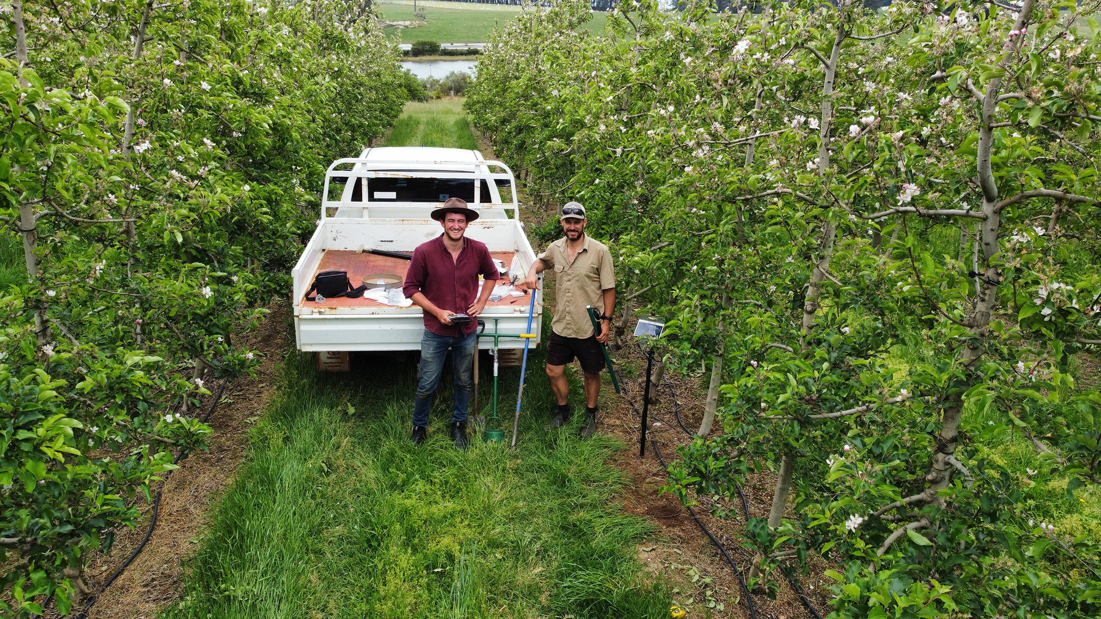 DPIRD scientists Bill Bateman and Manjimup apple grower Mark Bamess in orchard