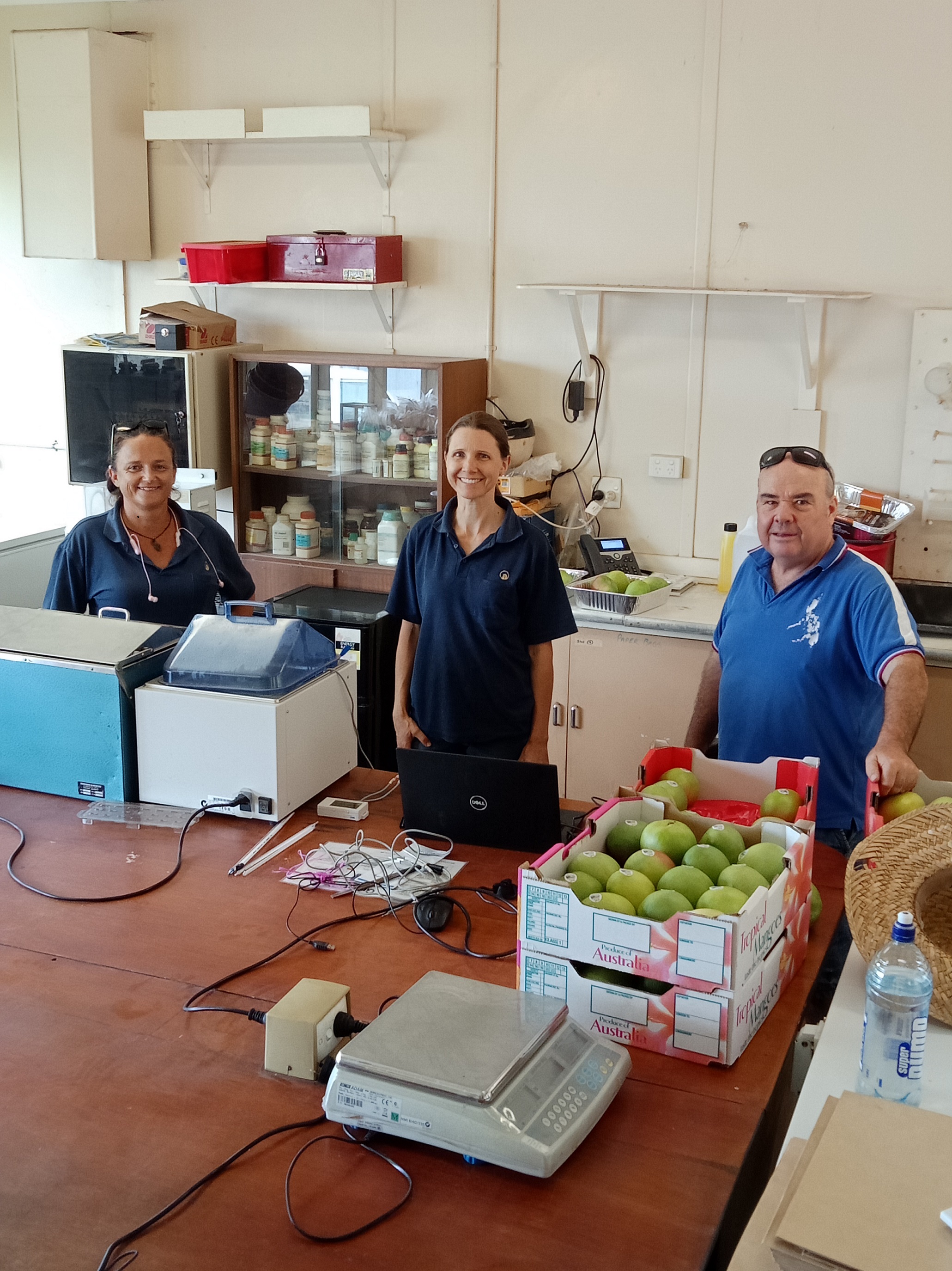 DPIRD technical officer Helena O’Dwyer (left), research scientist Tara Slaven and Griffith University senior horticulturalist Peter Johnson worked on a hot water treatment disinfestation trial for mangoes in Kununurra, which produced positive results. 