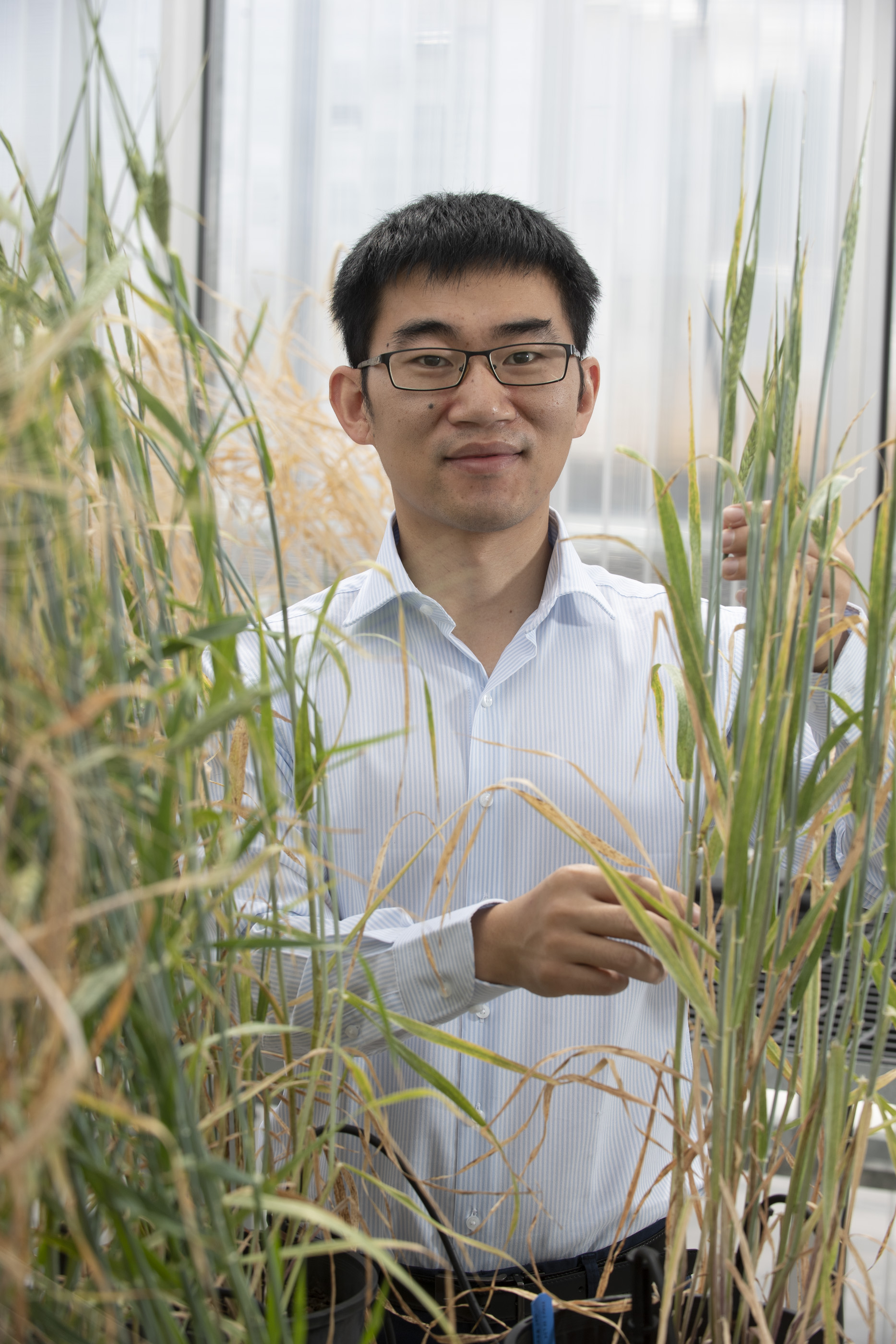 Dr Yong Han in research lab with samples.