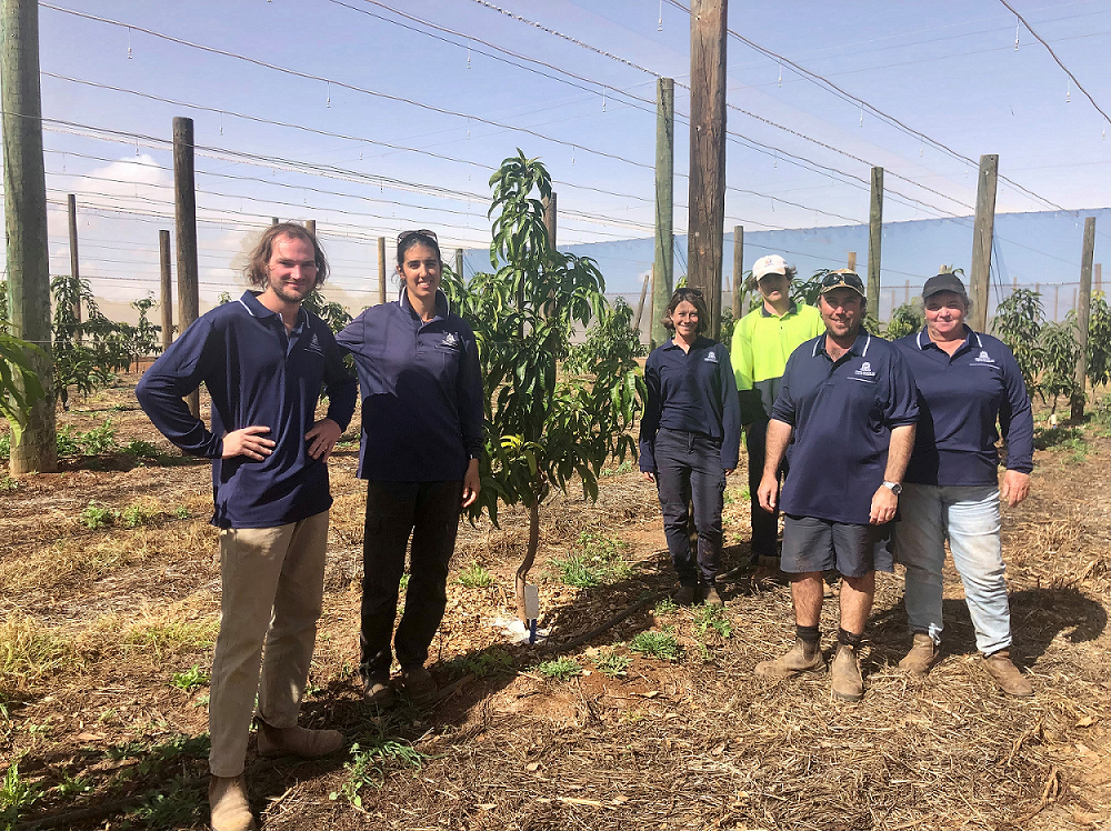 DPIRD staff attending the department field day, standing in horticulture crop