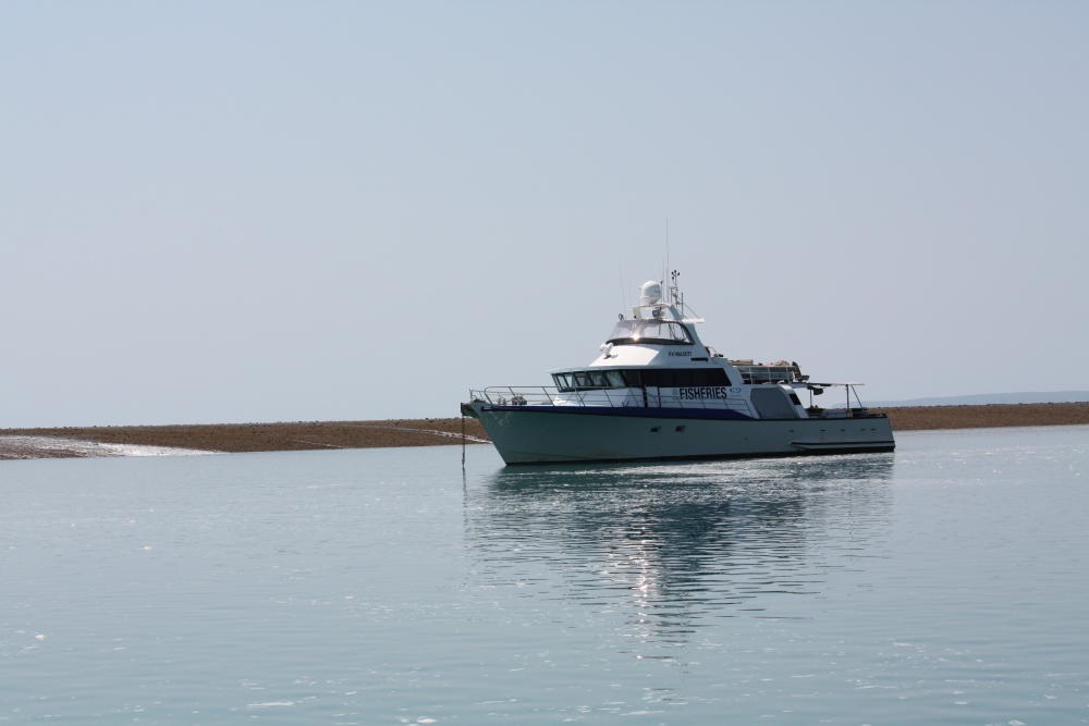 Fisheries vessel in Camden Sound