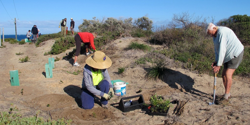 volunteers working together on the coast