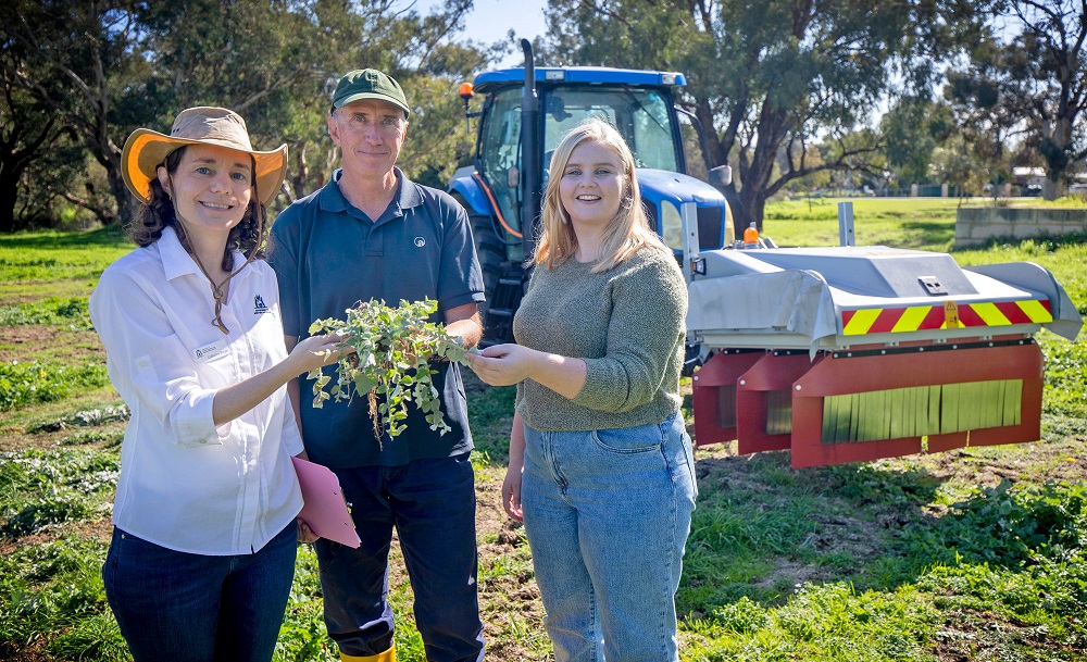 DPIRD reseachers at an electric weed control trial site