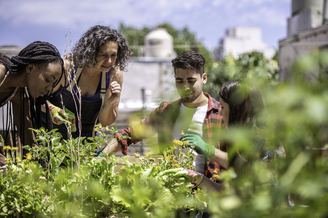 Photo of four adults of varying age groups gardening