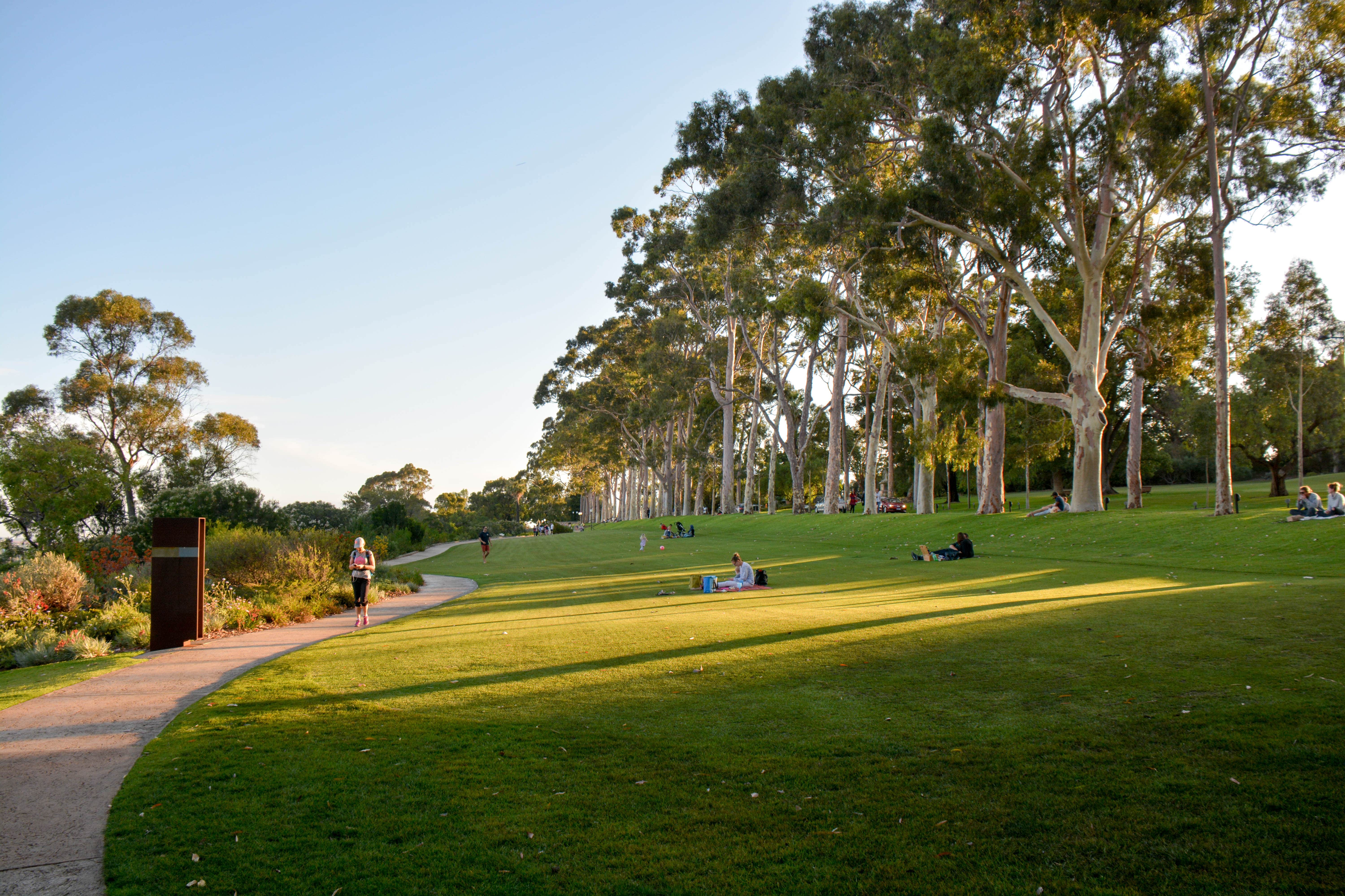 A wide open space covered in lush green grass