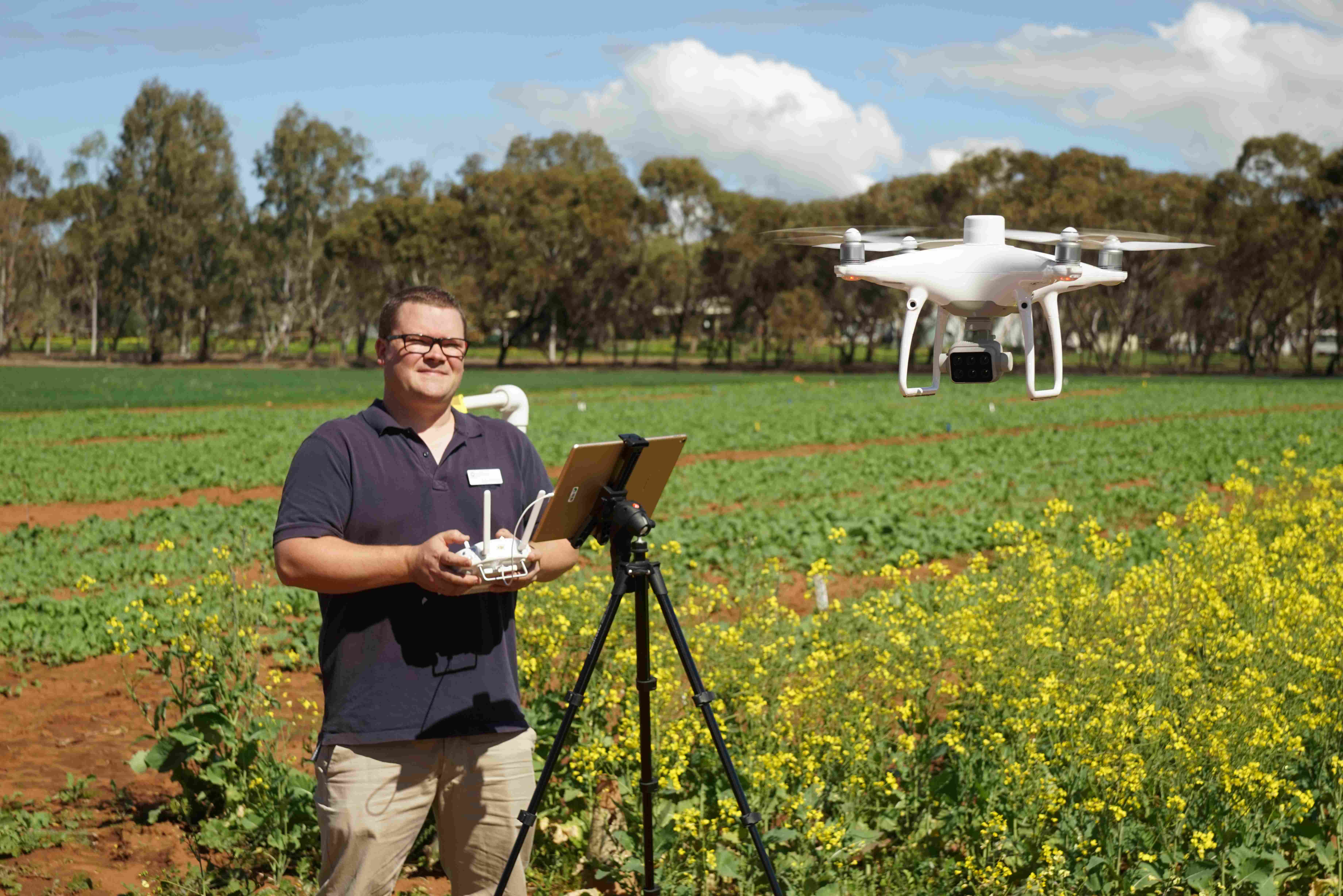 Man in paddock operating drone