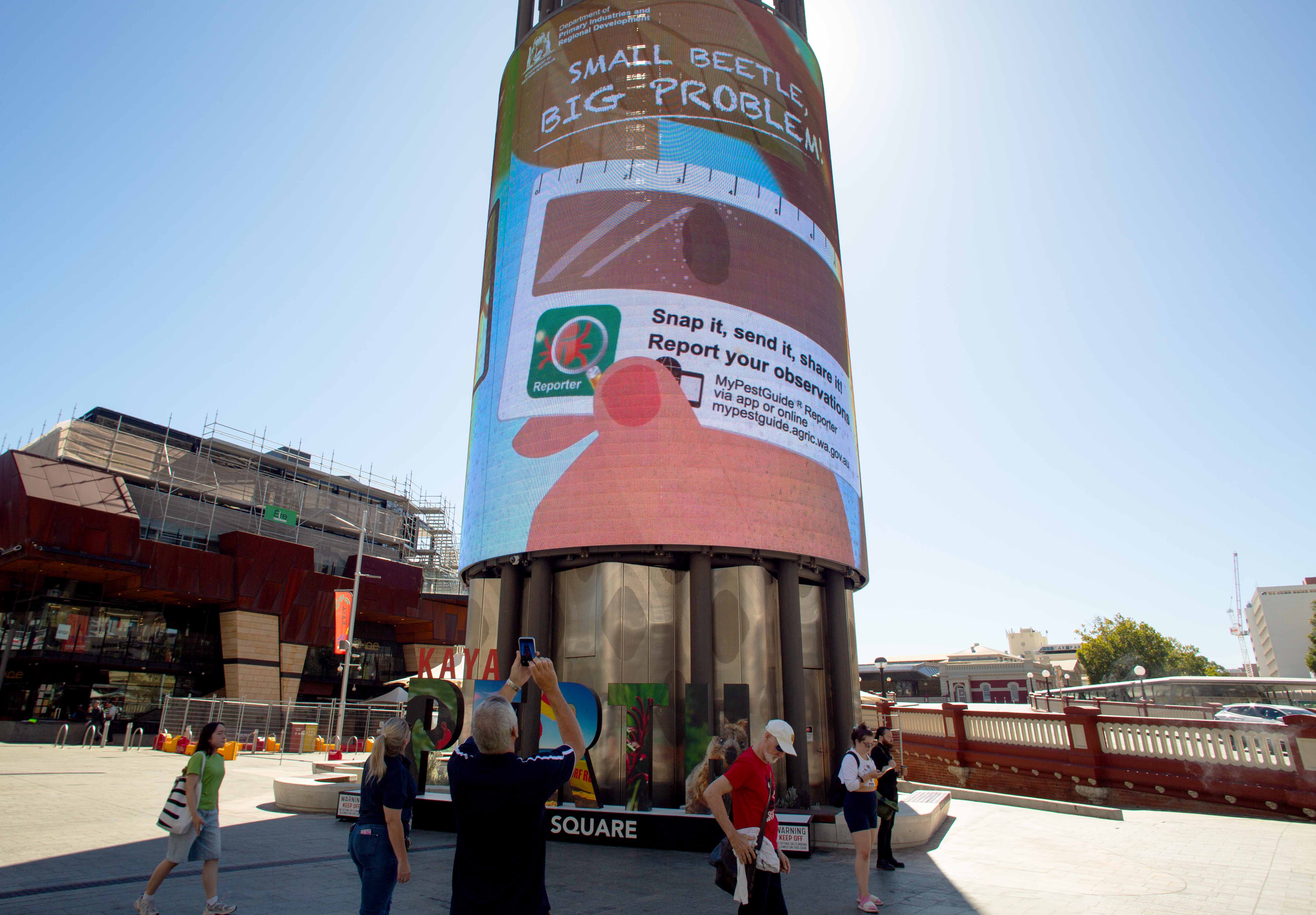 Polyphagous shot-hole borer video animation at Yagan Square