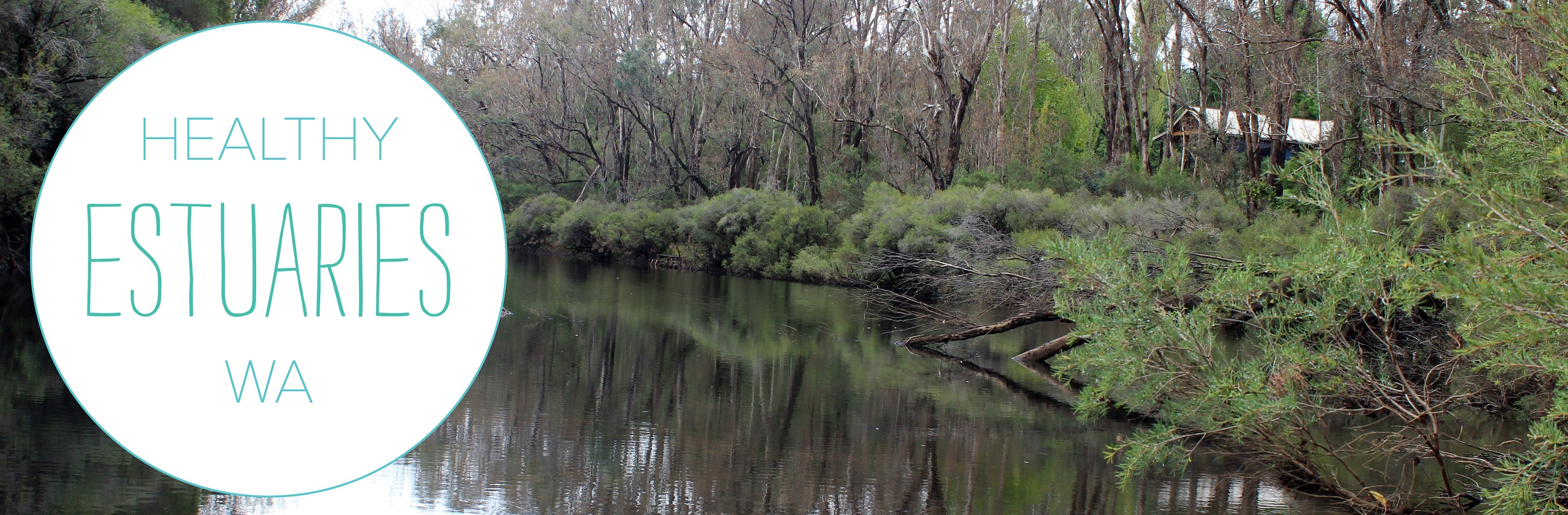 Catchment nutrient reports banner image