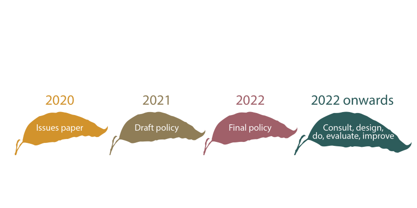 Native vegetation policy development process