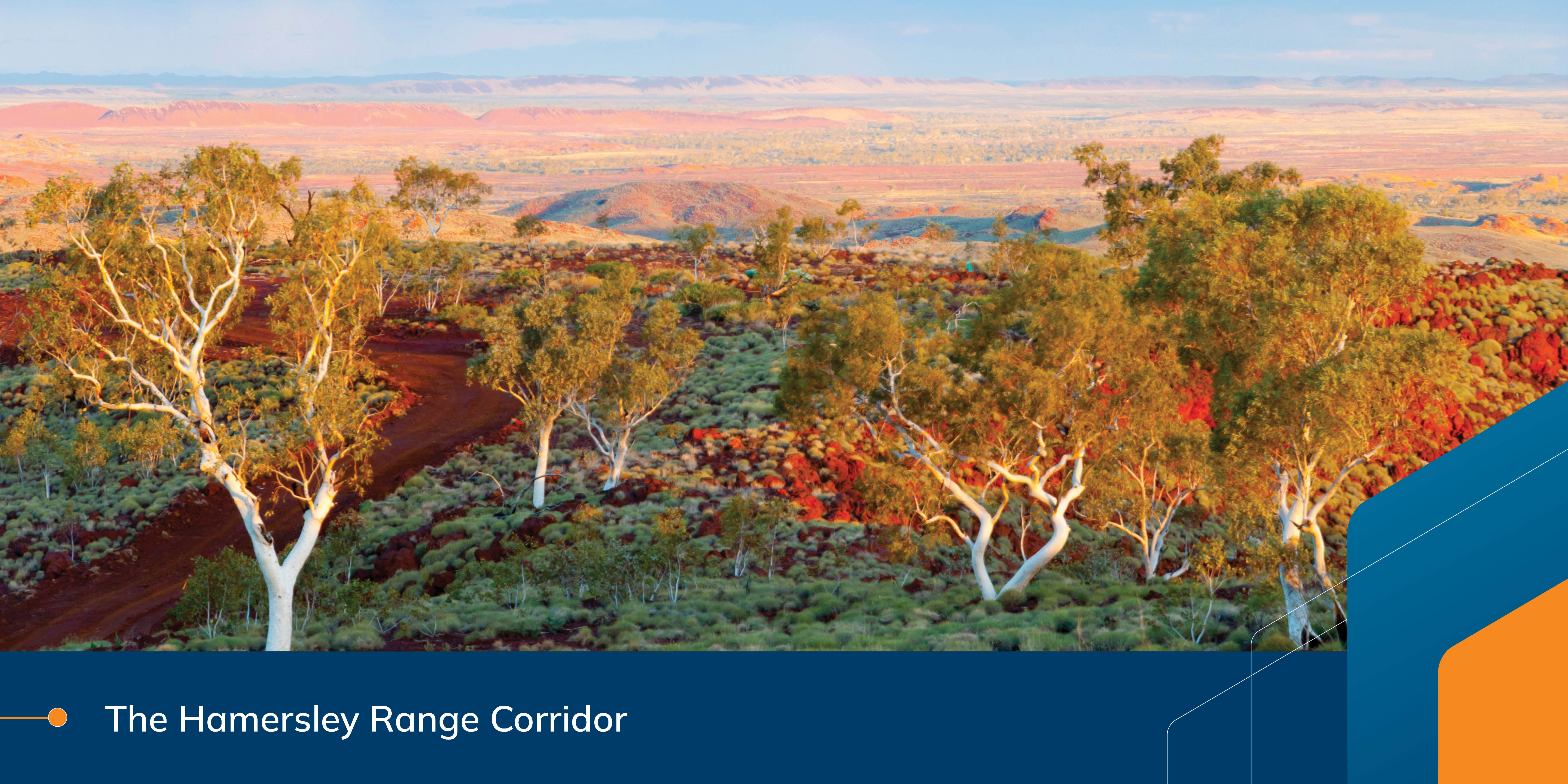 Dusk over the Pilbara landscape