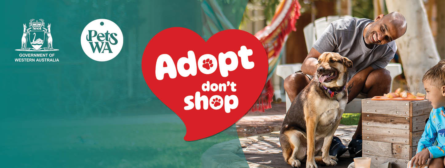 Adopt, Don't Shop