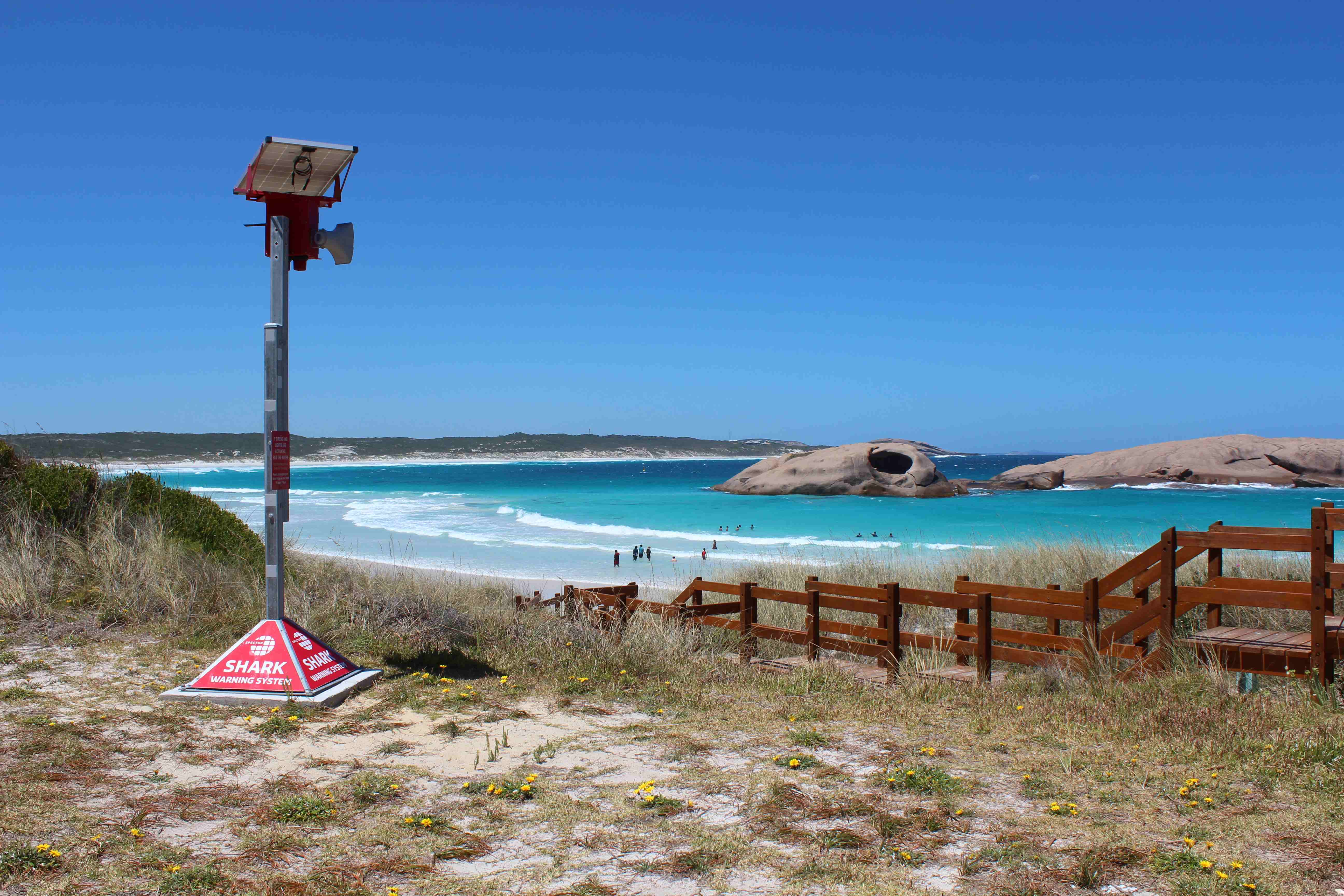 DPIRD will replace three shark warning towers at Esperance beaches