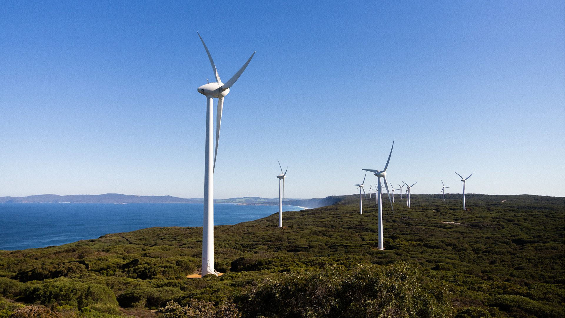 Wind turbines along the coast of Albany 