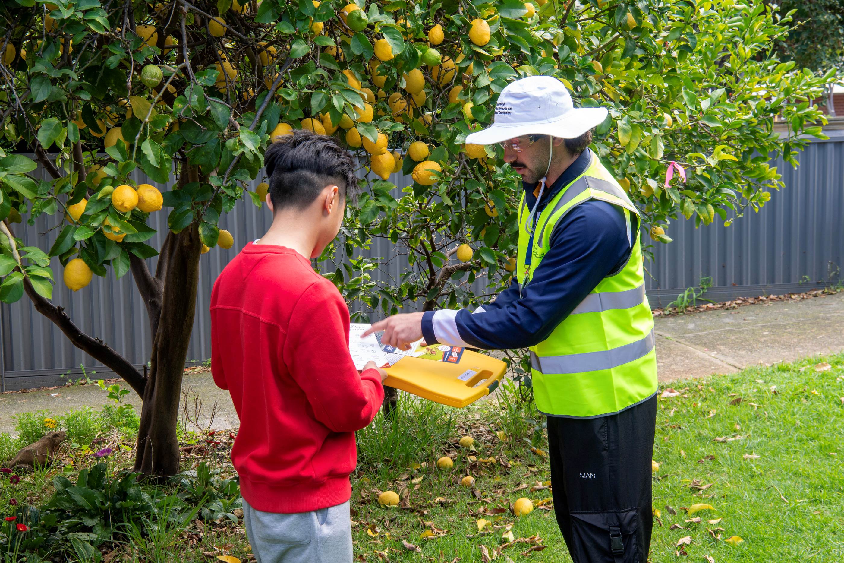 A man in a tabbard with a clipboard talking to another man near a lemon tree.