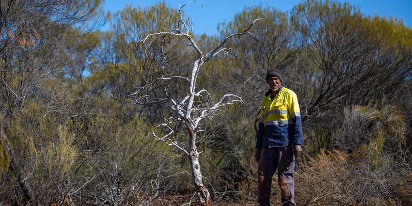 Rangers in the Rangelands