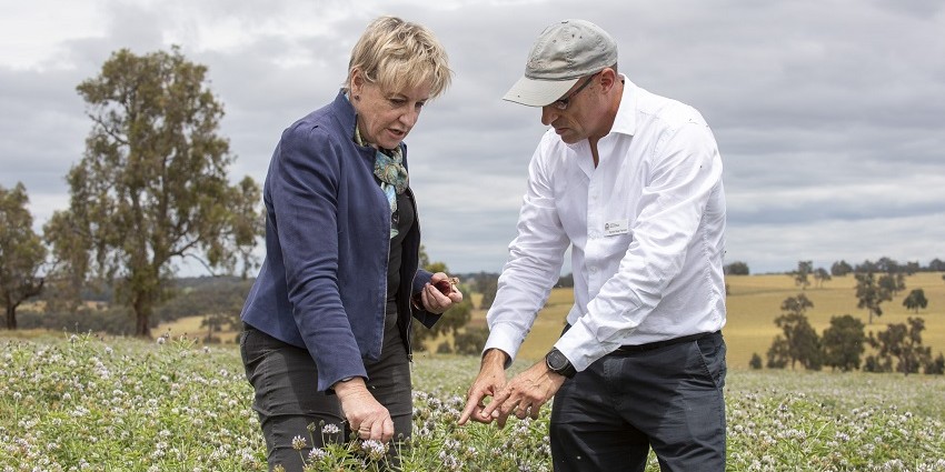 Minister for Agriculture and Food Alannah MacTiernan discusses increasing soil carbon by growing perennial pastures with scientist Daniel Real 