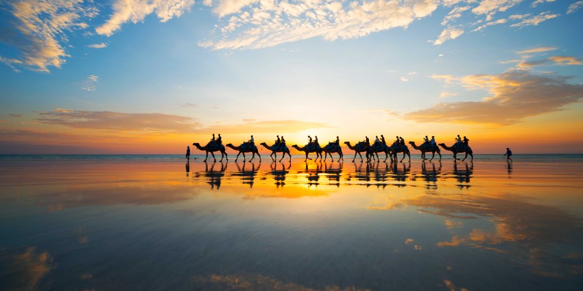 Camels Cable Beach
