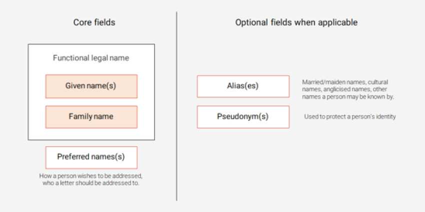 An overview of the core and optional fields for naming standards