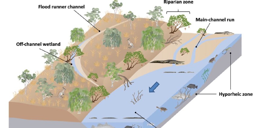Diagram showing water-dependent habitats in the Fitzroy water planning area