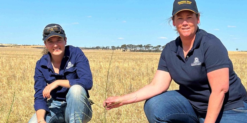 Two women in a dry paddock with a small green plant.