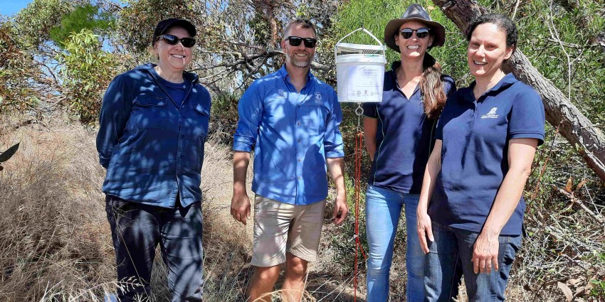 Three women and a man standing with a bucket hanging from a tree.