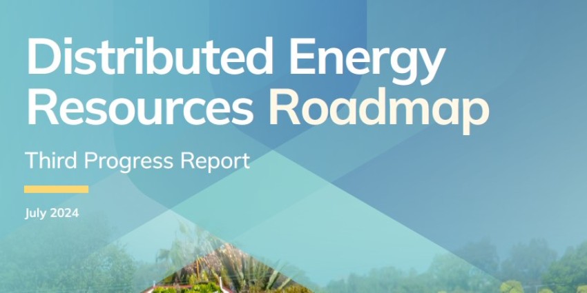 Distributed Energy Resources Roadmap Third Progress Report July 2024