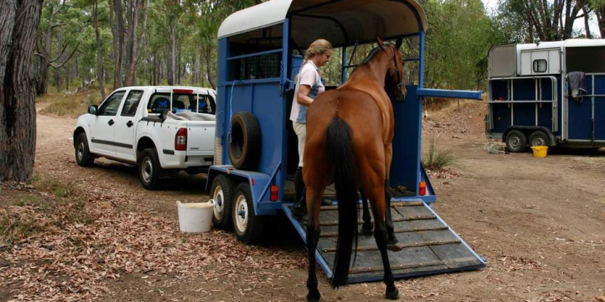 A woman loading a horse onto a float.