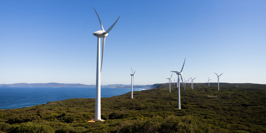 Wind turbines along the coast of Albany 